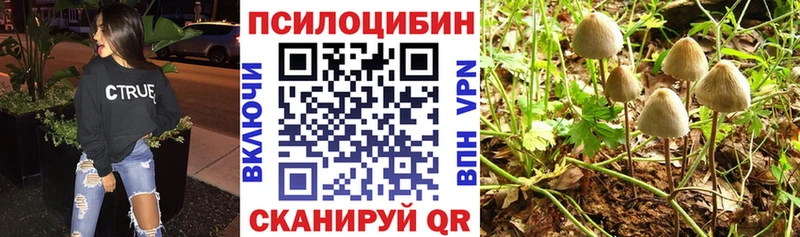 OMG как войти Новопавловск Галлюциногенные грибы Magic Shrooms